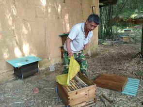 娱乐吃瓜酱贫困户