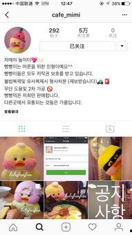 吃瓜网免费官网 僻帝,僻帝带你畅游娱乐资讯海洋