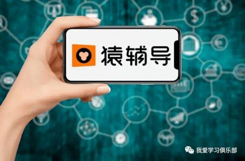 营销号音频娱乐吃瓜酱,营销号背后的故事与影响力