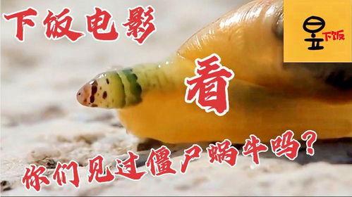 娱乐吃瓜牛片,吃瓜牛片背后的故事